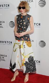 Anna Wintour feet photo 9