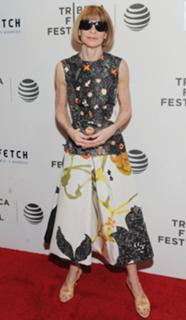Anna Wintour feet photo 8