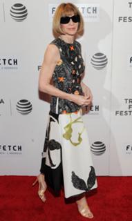 Anna Wintour feet photo 7