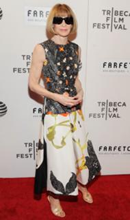 Anna Wintour feet photo 6
