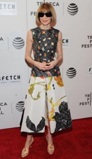 Anna Wintour feet photo 5