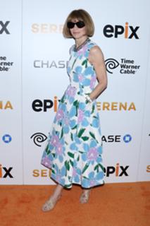 Anna Wintour feet photo 3
