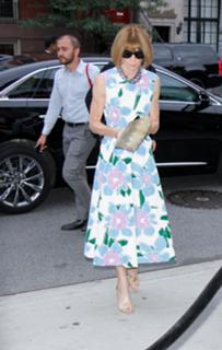 Anna Wintour feet photo 1