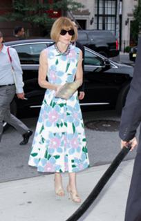 Anna Wintour feet photo 20