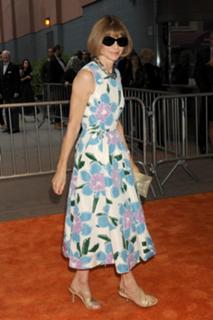 Anna Wintour feet photo 15