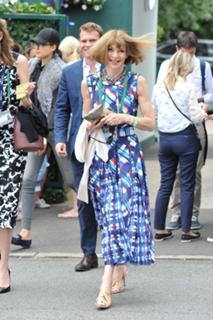 Anna Wintour feet photo 12