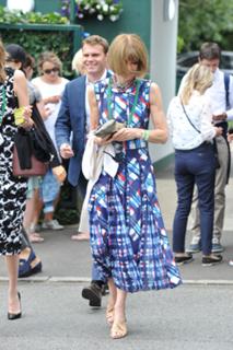 Anna Wintour feet photo 11