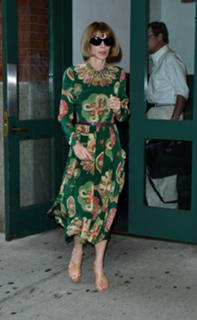 Anna Wintour feet photo 8