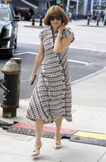 Anna Wintour feet photo 3
