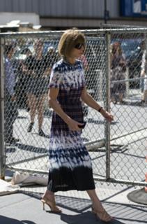 Anna Wintour feet photo 2