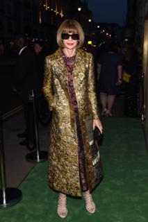 Anna Wintour feet photo 1
