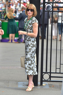 Anna Wintour feet photo 18
