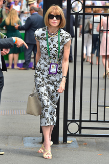 Anna Wintour feet photo 17