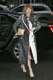 Anna Wintour feet photo 14