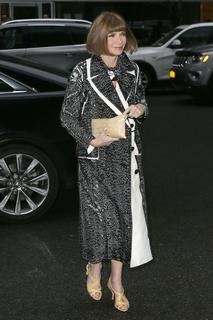Anna Wintour feet photo 13