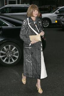 Anna Wintour feet photo 12