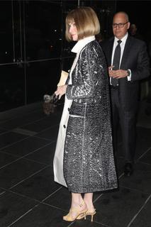 Anna Wintour feet photo 11