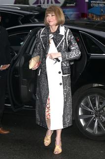 Anna Wintour feet photo 10