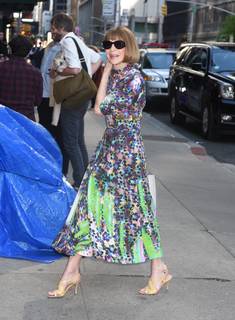 Anna Wintour feet photo 6
