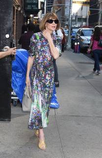 Anna Wintour feet photo 5