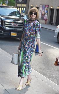 Anna Wintour feet photo 4