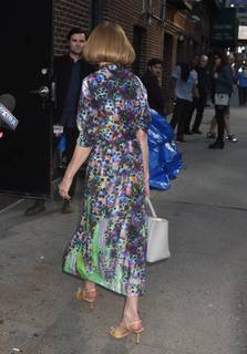 Anna Wintour feet photo 2