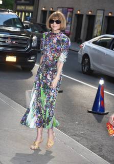 Anna Wintour feet photo 1
