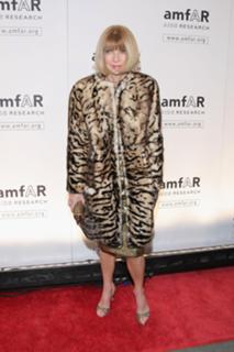 Anna Wintour feet photo 5