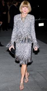 Anna Wintour feet photo 19