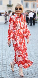 Anna Wintour feet photo 1
