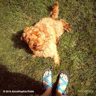 AnnaSophia Robb feet photo thumbnail