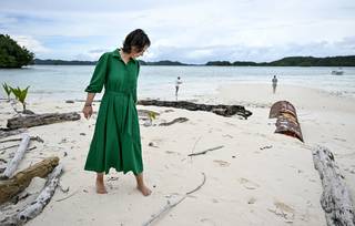 Annalena Baerbock feet photo thumbnail