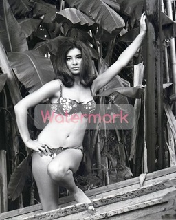 Anne Archer feet photo thumbnail