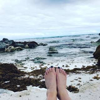 Anne Burrell feet photo 18