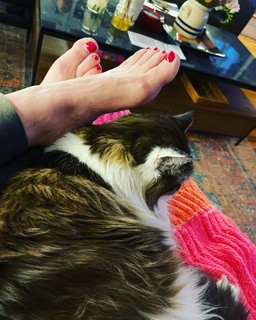 Anne Burrell feet photo 1