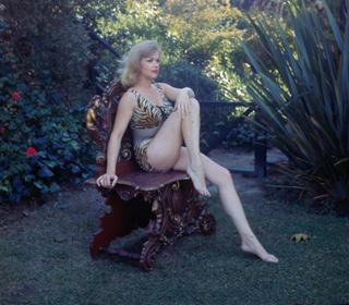 Anne Francis feet photo thumbnail