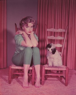 Anne Francis feet photo thumbnail