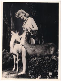 Anne Francis feet photo thumbnail