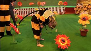 Anne Gesthuysen feet photo thumbnail