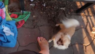 Anne Wünsche feet photo 19