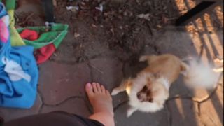 Anne Wünsche feet photo 18