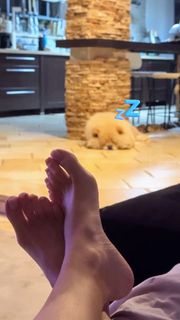 Anne Zivi feet photo 4