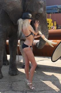 Annelien Coorevits feet photo 6