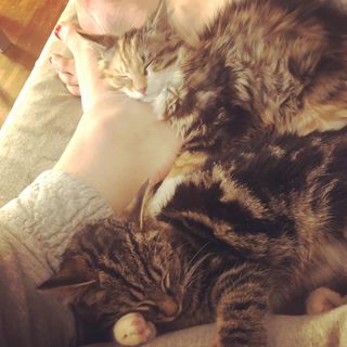 Anni Friesinger feet photo thumbnail