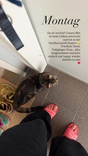 Anni Friesinger feet photo 1