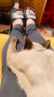 Anouk feet photo 5