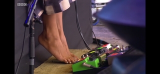 Anoushka Shankar feet photo 17