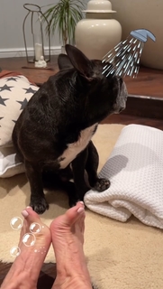 Anthea Turner feet photo thumbnail