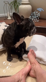 Anthea Turner feet photo thumbnail