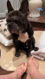 Anthea Turner feet photo thumbnail